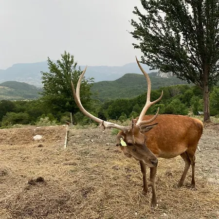 Casa Vacanza Adelina Gamberale Appartamento