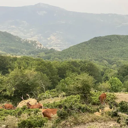 Casa Vacanza Adelina Gamberale *